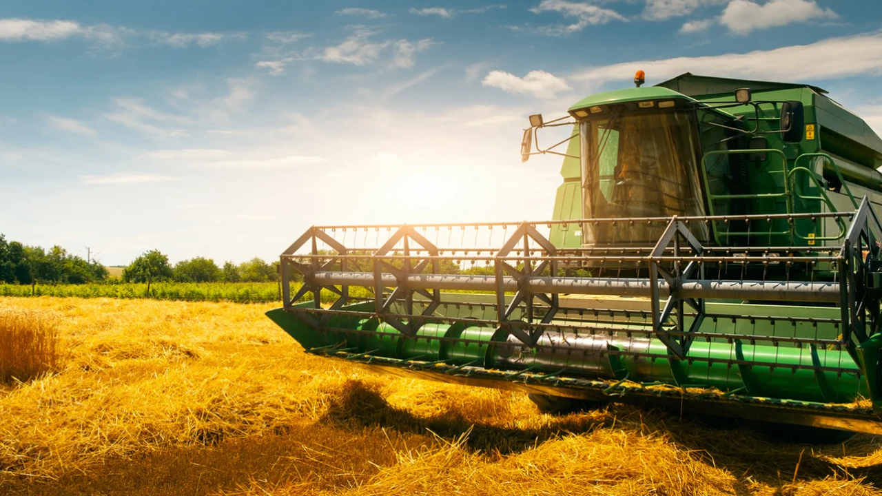 Зърнопроизводителите искат отлагане на кредитите заради трудната година