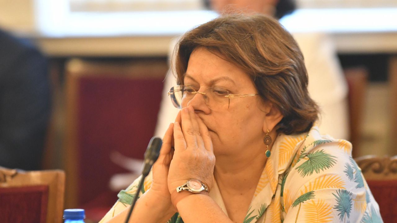 Татяна Дончева: Предсрочен вот не е изключен