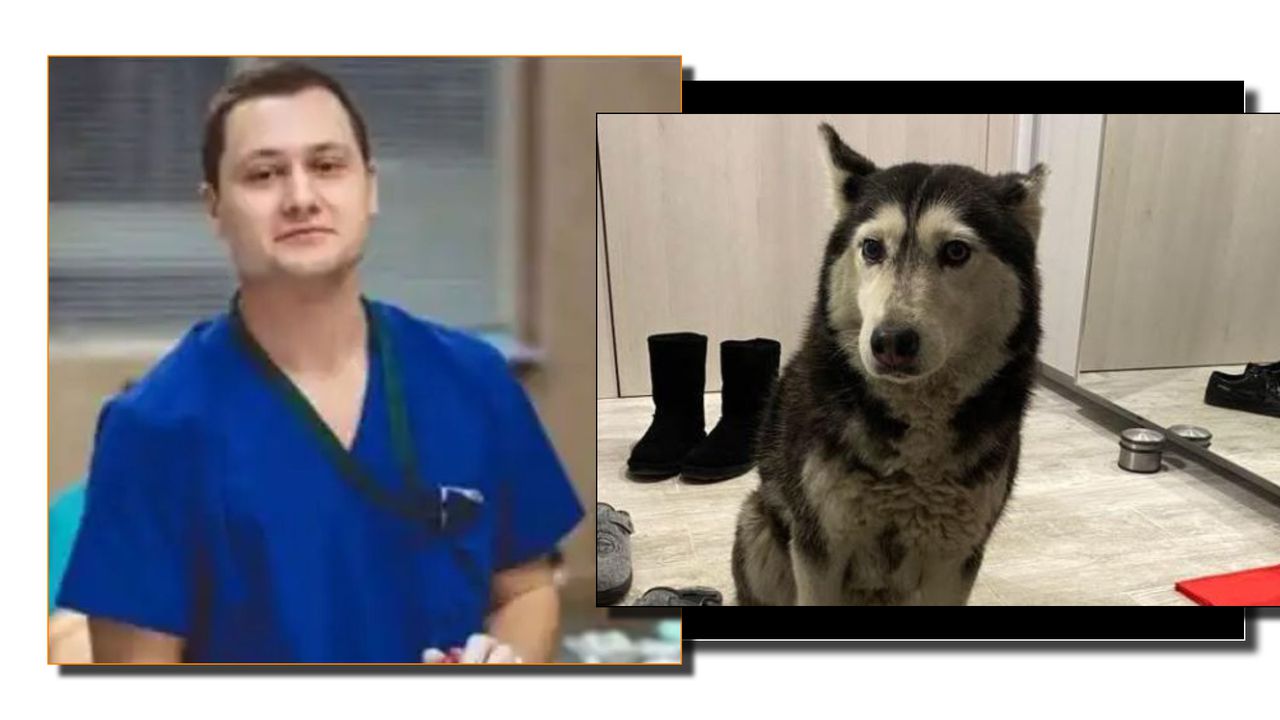 Да обичаш животно означава да имаш поне малко емпатия в пустото балканско сърце