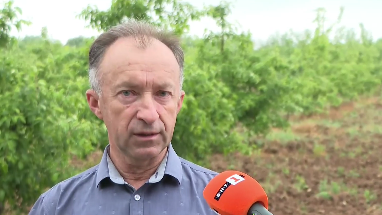  Димитър Сотиров, Институт по земеделие в Кюстендил, кадър: Българска национална телевизия 