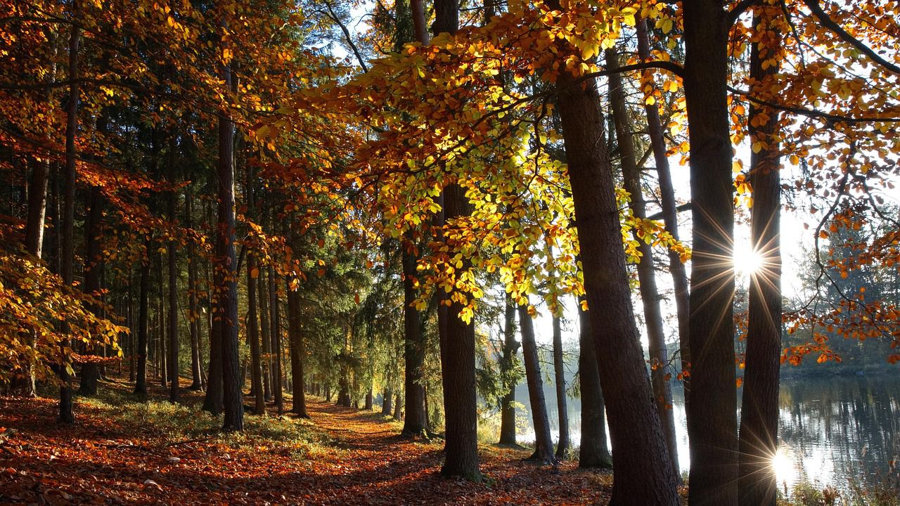 Ето какво време ни очаква днес