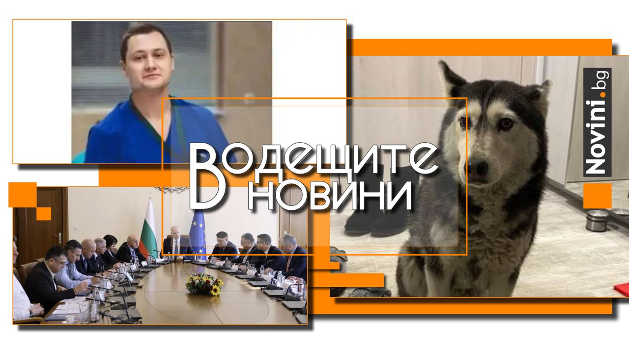 Водещите новини! До 5 години затвор грозят Ненад, прегазил кучето Мая. Започва санкционирането на търговци за покачване на цените (и още…)