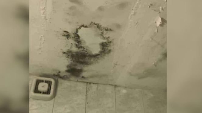 В Бургас се проведе протест срещу условията в хосписи, разположени