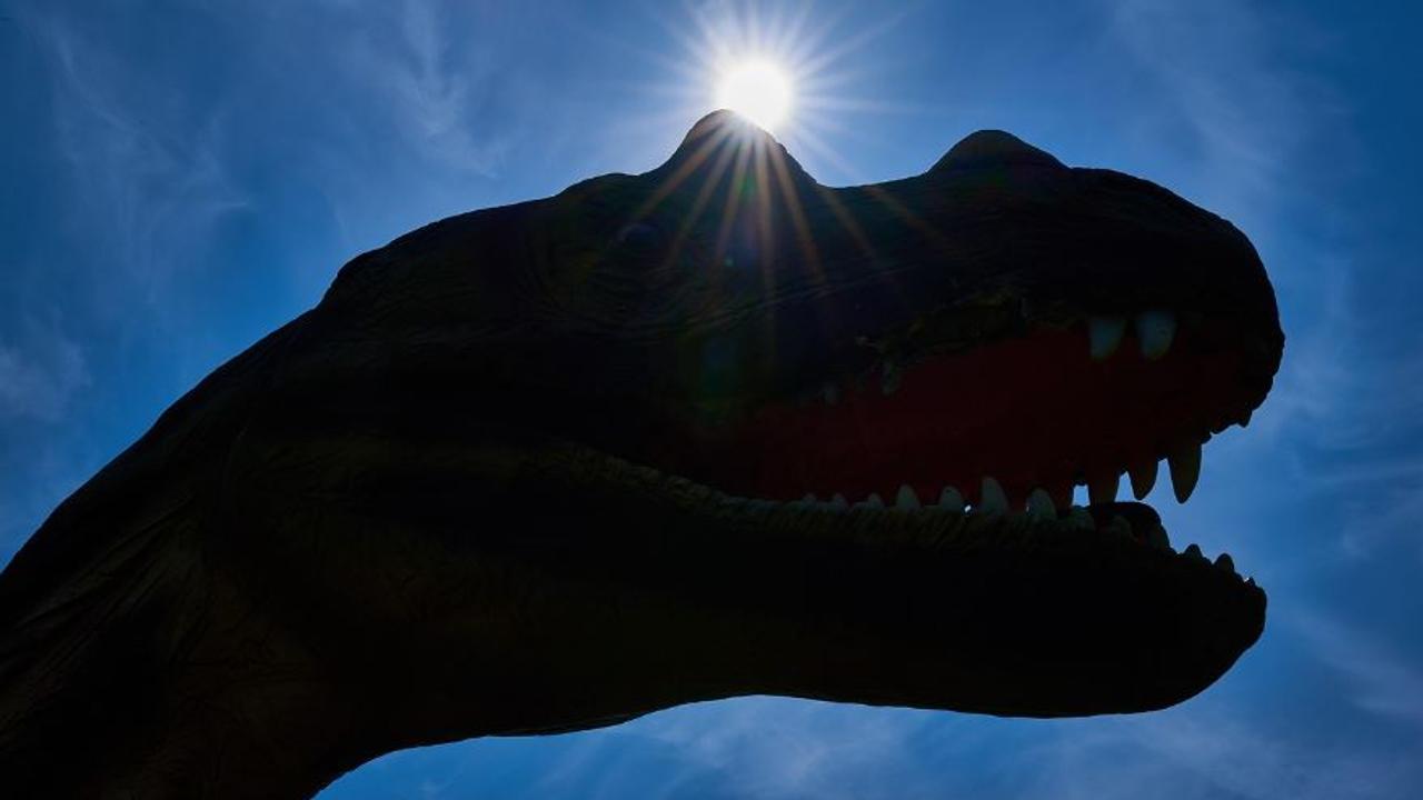 Наречен Dasosaurus tocantinensis, видът е един от най-големите, открити в