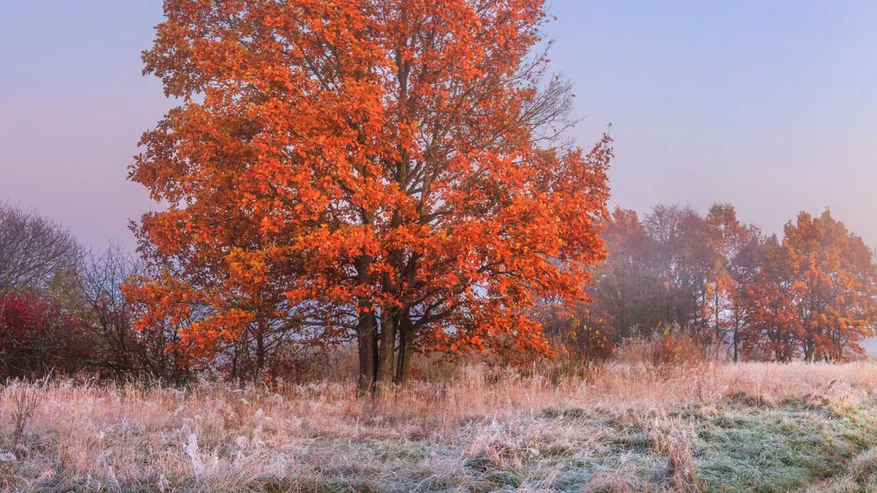 Прогноза за времето до края на ноември
