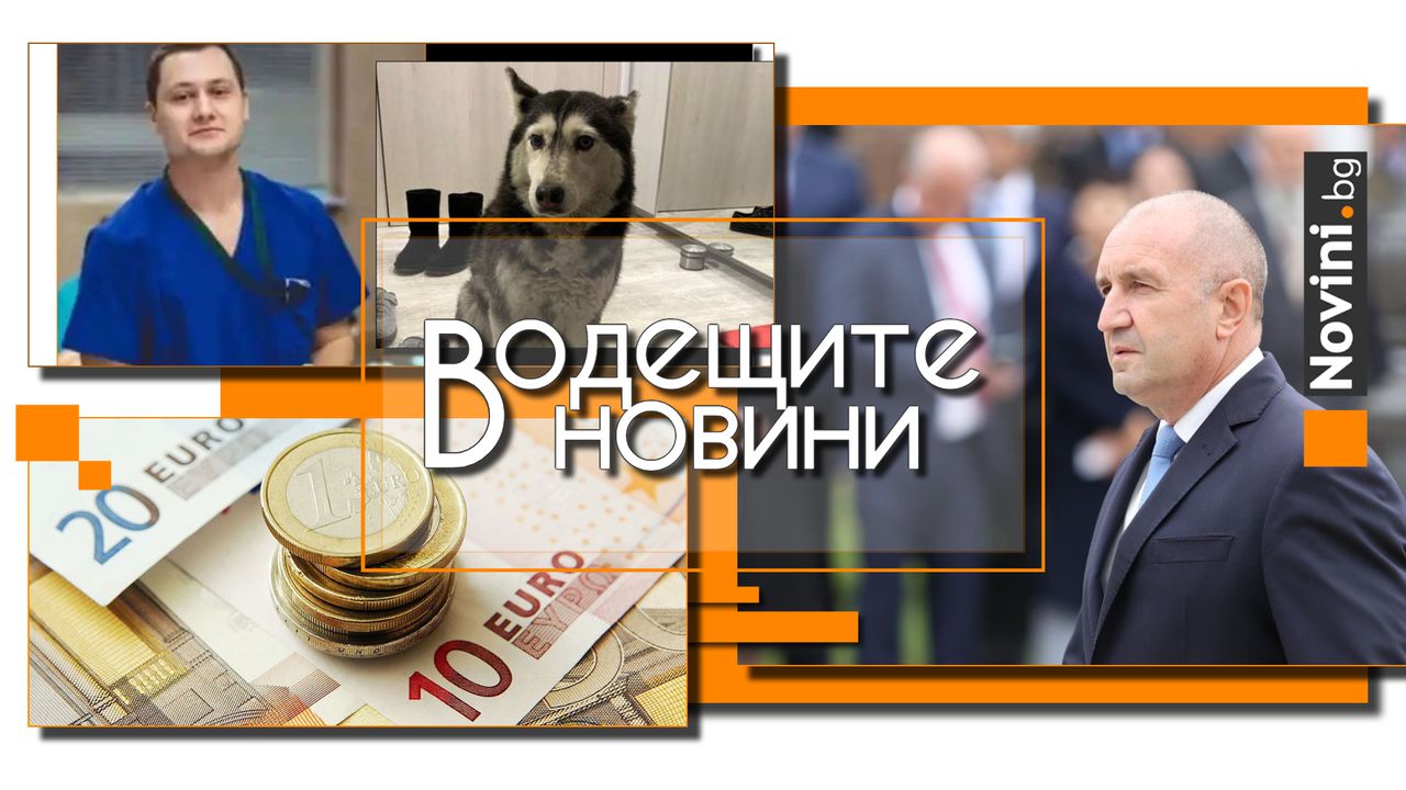 Водещите новини! Ненад, прегазил кучето Мая, е на свобода срещу 5000 лв. Депутатите забраниха на Радев да се вози с шкодата (и още…)