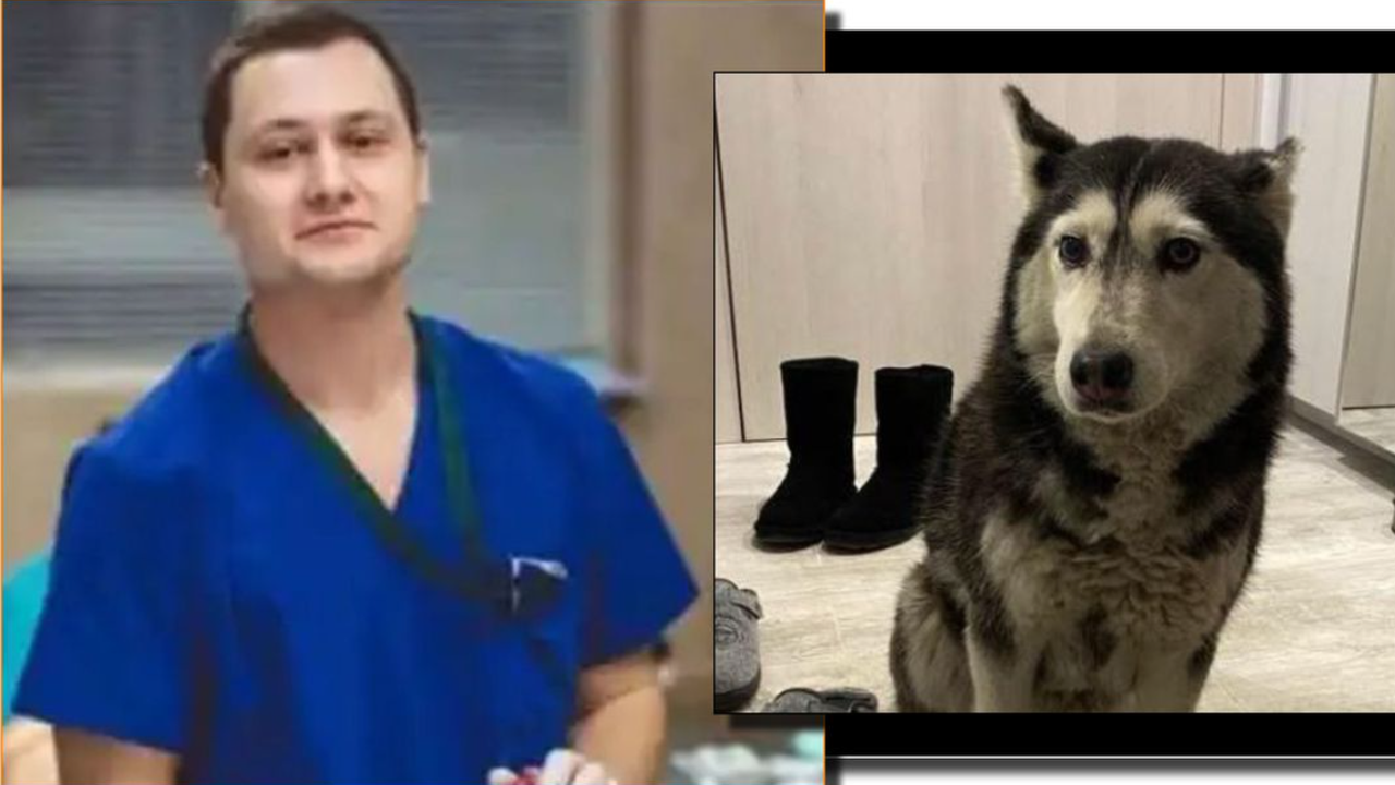 Д-р Цоневски, прегазил кучето Мая, е на свобода срещу 5000 лв.