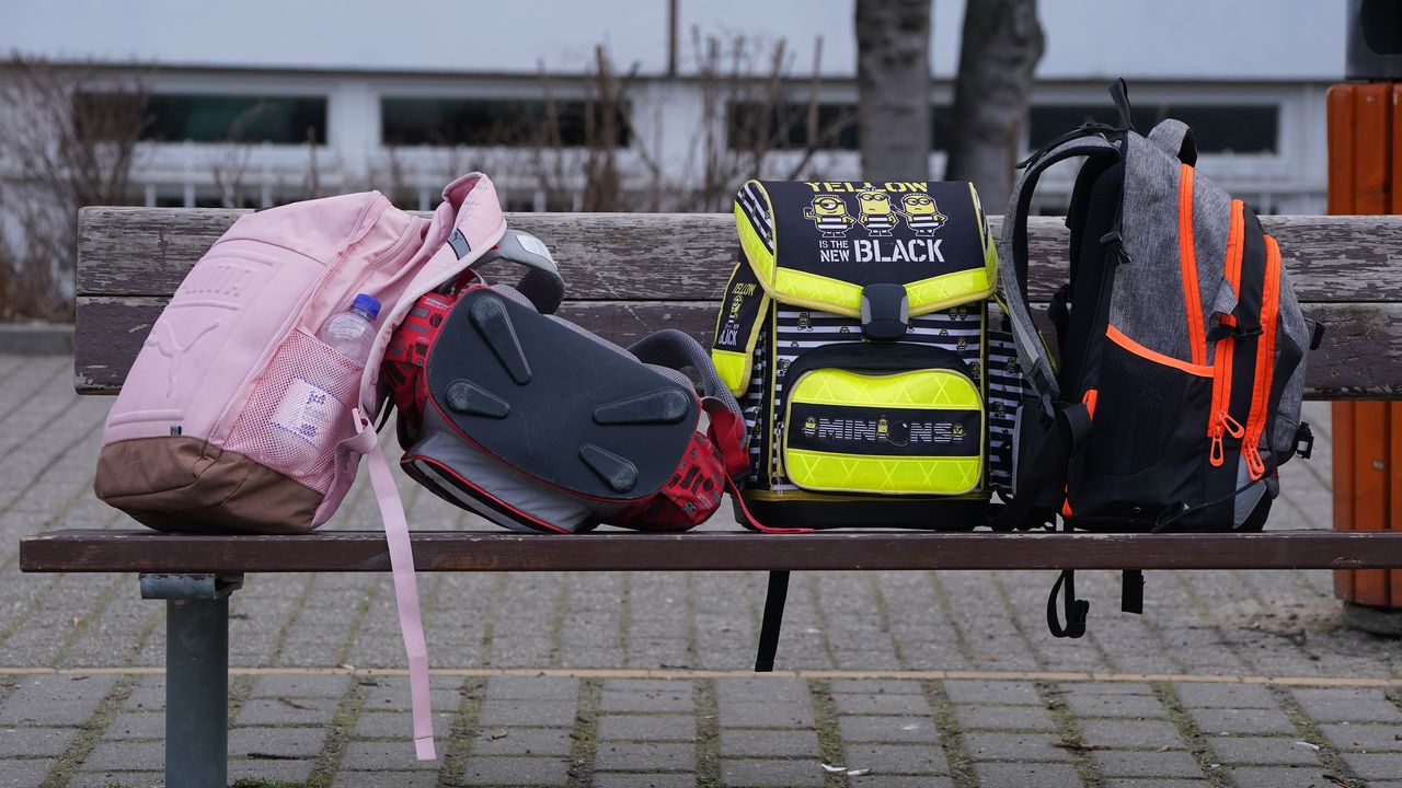 11-годишен от Крумовград открадна за 10 дни от свои съученици