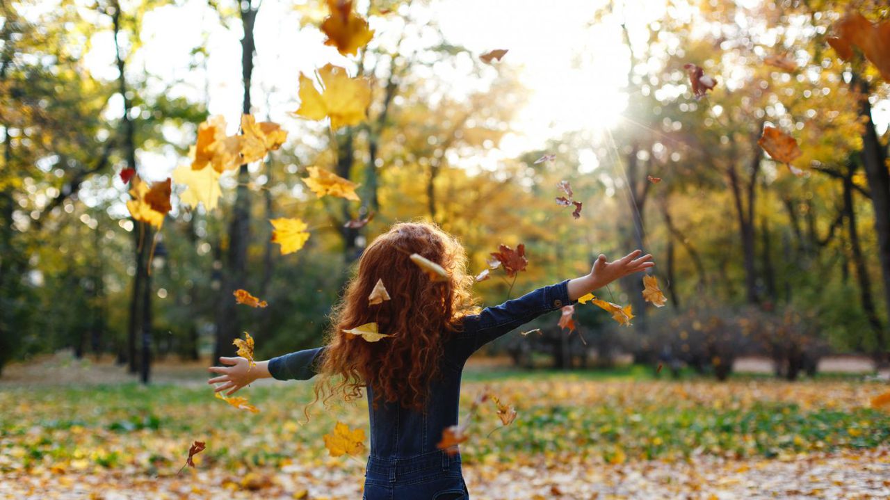 Над останалата част от страната ще преобладава слънчево време. В