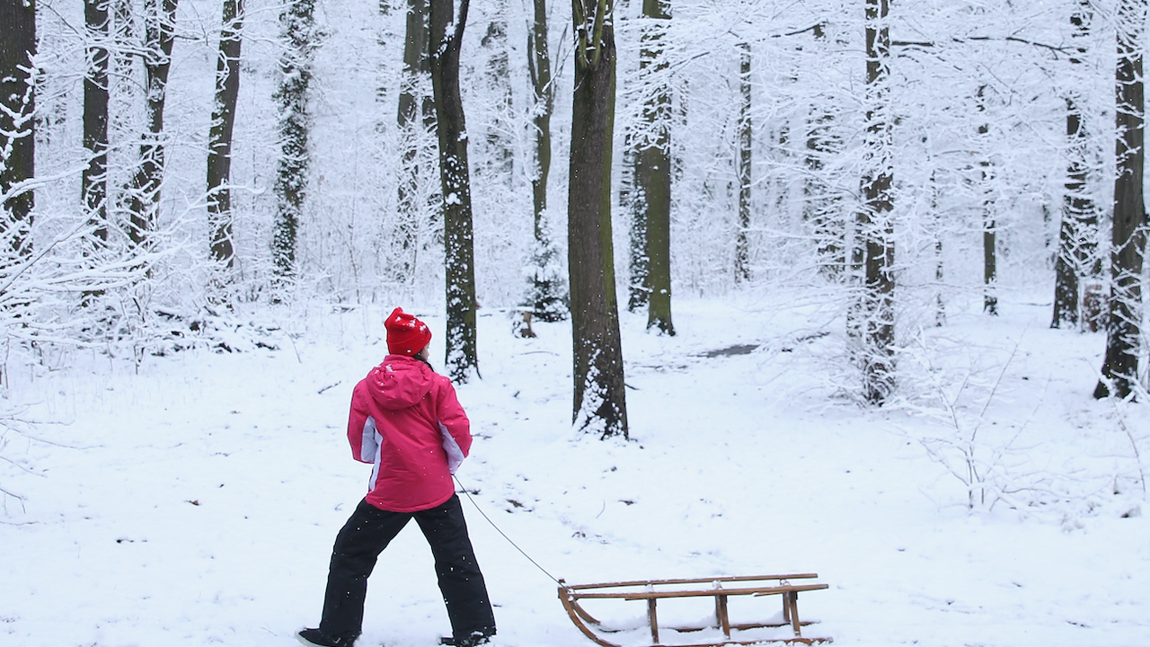 Второ момиче, участвало в инцидента, е в стабилно състояние според