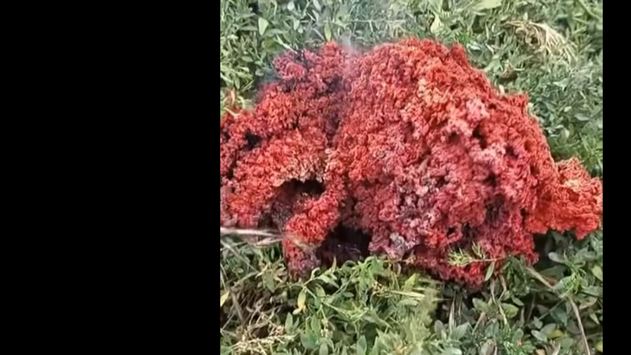 Червеникъв на цвят обект с неизвестен произход е паднал в