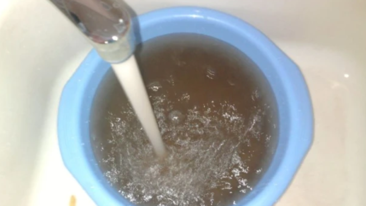 И тази неделя жители на Плевен излязоха на протест срещу