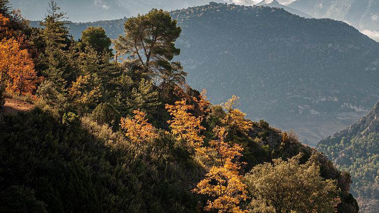 Условията в планините не са подходящи за туризъм
