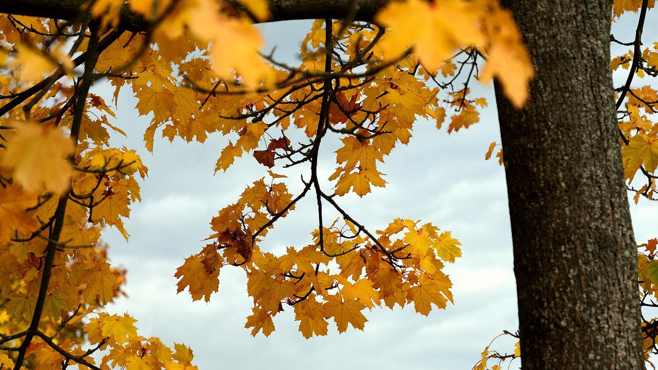 Атмосферното налягане е малко по-високо от средното за месеца, няма