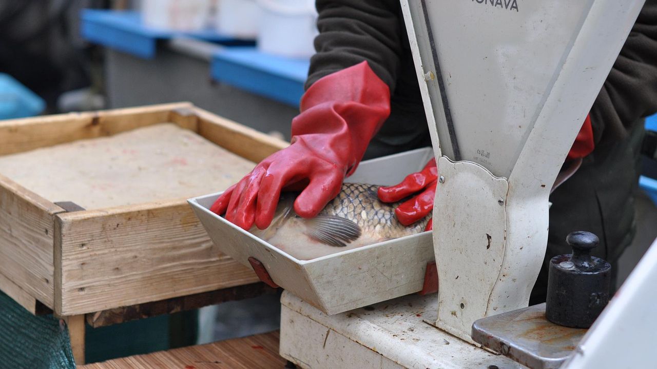 Засилени проверки за Никулден започват инспектори на ИАРА