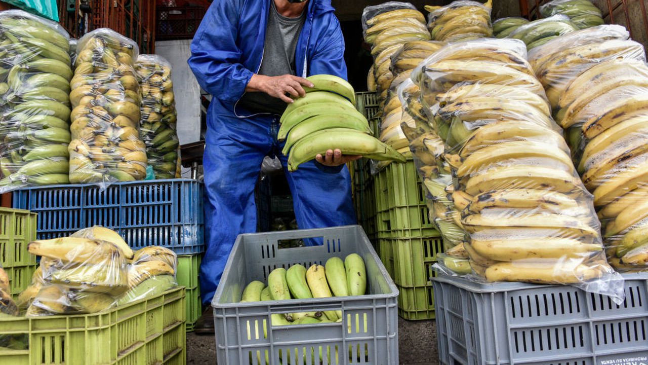 Белият дом обяви търговски споразумения с Аржентина, Гватемала, Еквадор и Салвадор