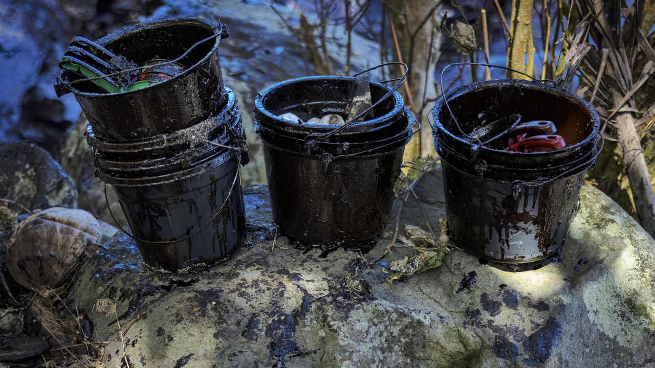 Община Пловдив организира кампания за разделно събиране на отработени масла