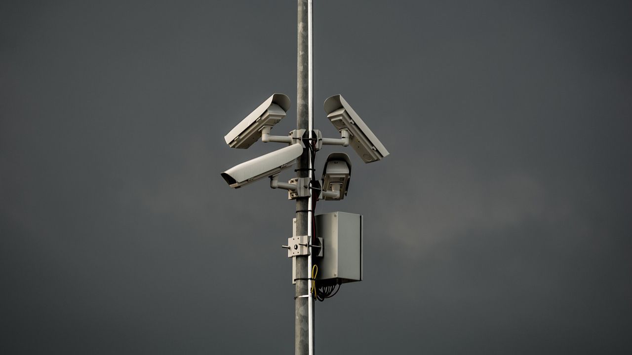 Над 80 на сто от нарушенията на пътя в Белгия