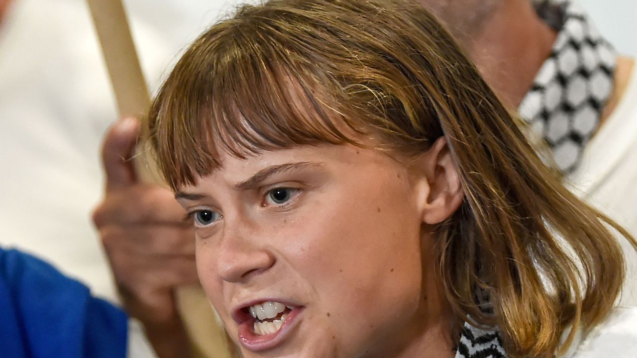 Грета Тунберг се оплака от насилие в Израел: „Обиждаха ме и ме биеха“