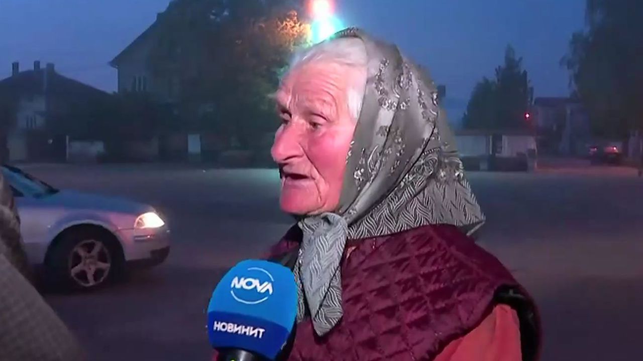 Напрежение в Казичене заради глутница бездомни кучета, които нападат хора и животни