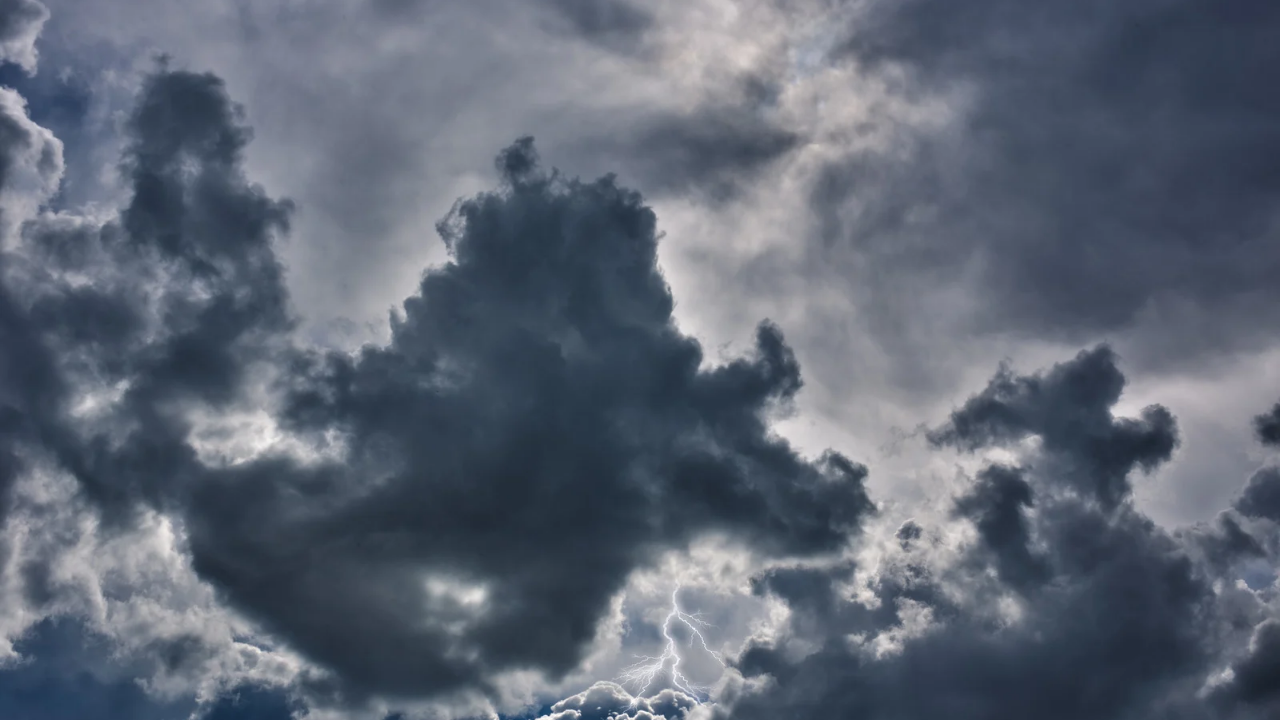 Времето днес