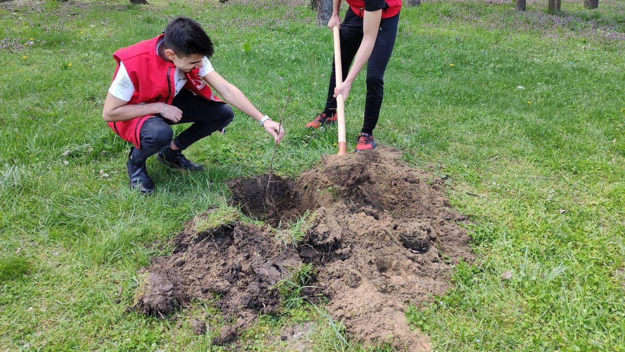 Доброволци и родители засадиха над 2000 дървета