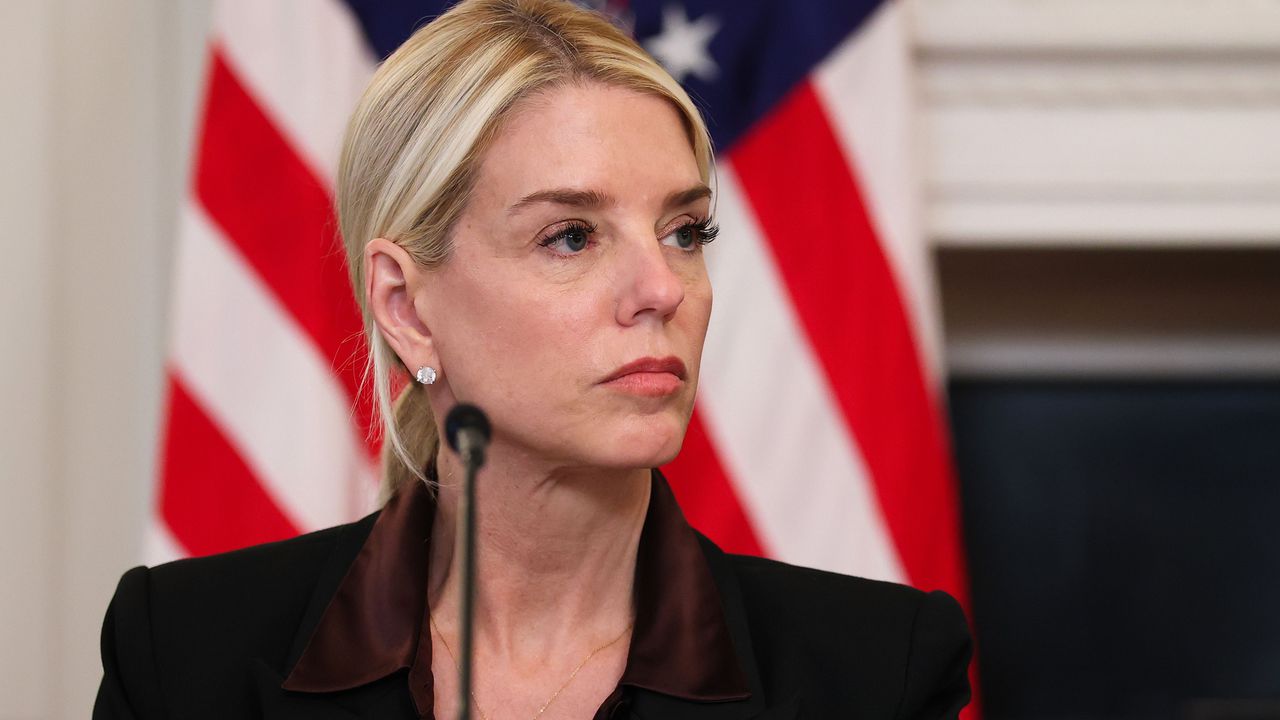 Фронтът за освобождение на Търтъл Айлънд - крайнолява, пропалестинска, антиправителствена