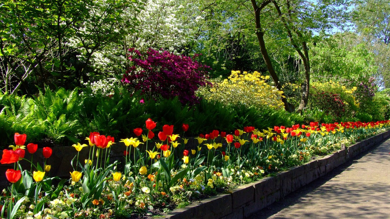 Авторите на одобрените проекти ще бъдат уведомени до 10 март