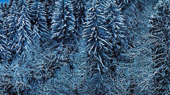 Много е студено и се очаква през уикенда да е