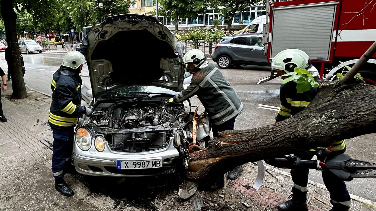 Кола събори дърво върху автобусна спирка на централен булевард в Хасково