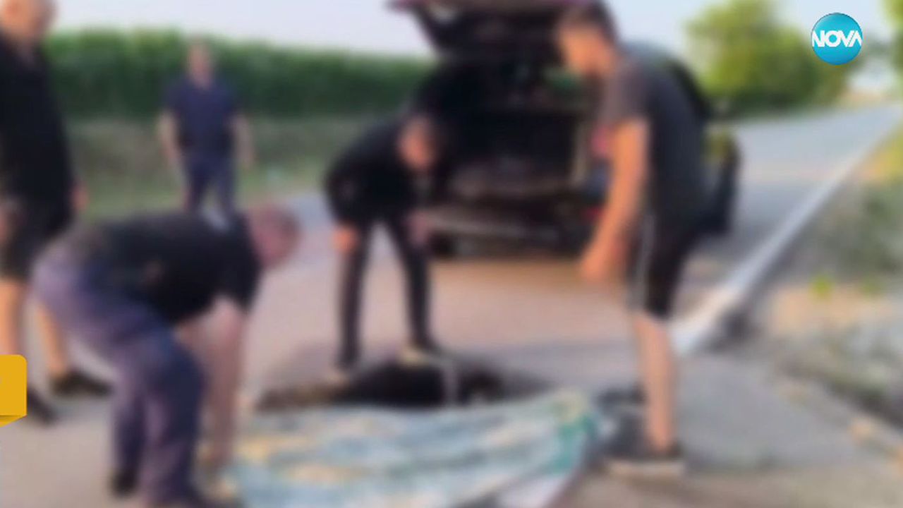 Жестокост към животно: Мъж върза куче за колата си и го влачи няколко километра