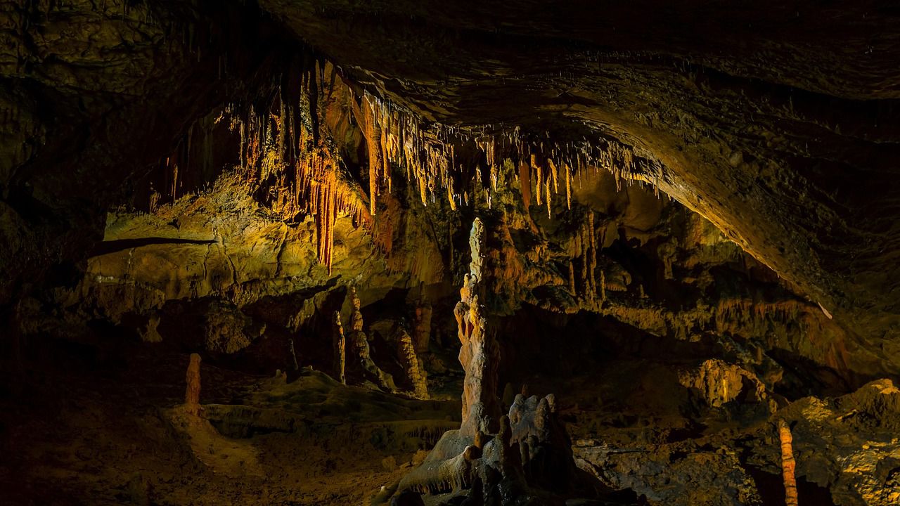 Полицията в южния индийски щат Карнатака обяви днес, че е