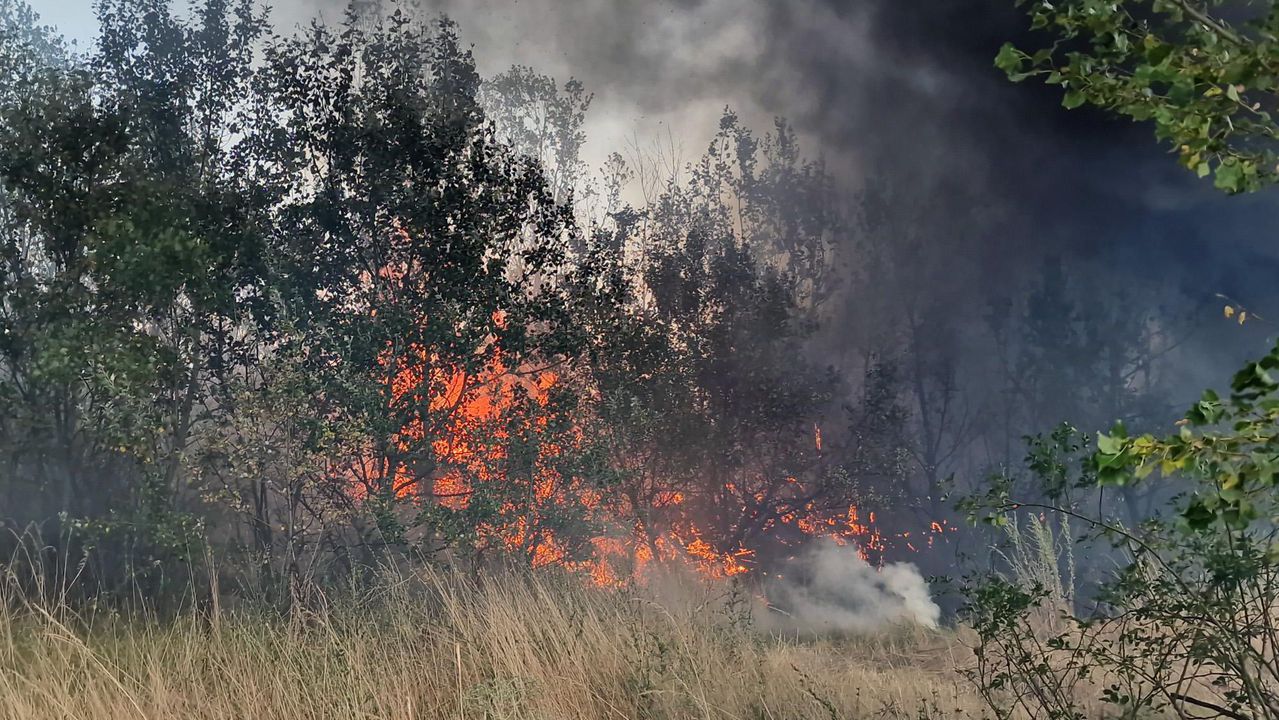 Ново огнище се разгоря над село Илинденци в Пирин планина.