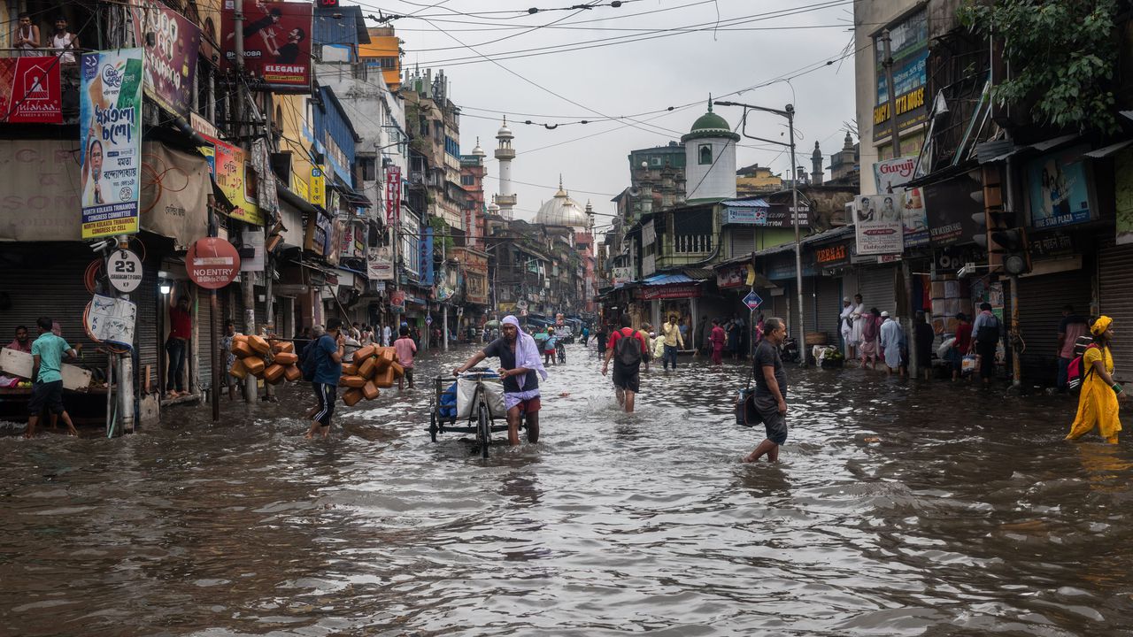 Близо 300 са вече жертвите на проливните дъждове и наводнения в Индия и Пакистан