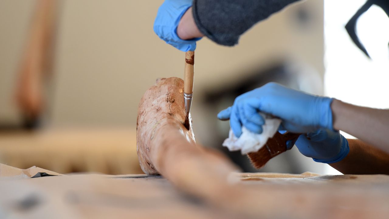 Откриха почти пълен скелет на нов вид динозавър, живял преди около 230 милиона години