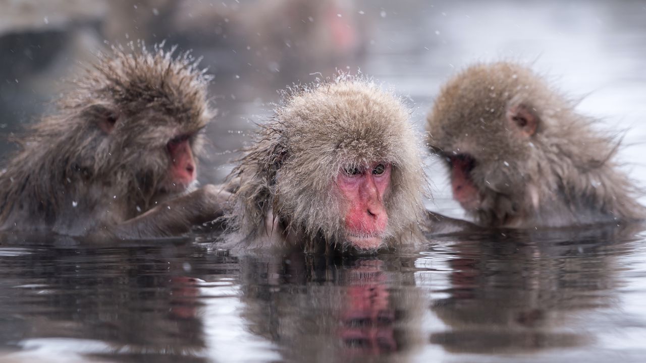 Революционно откритие: китайски учени успяха да обърнат процеса на стареене