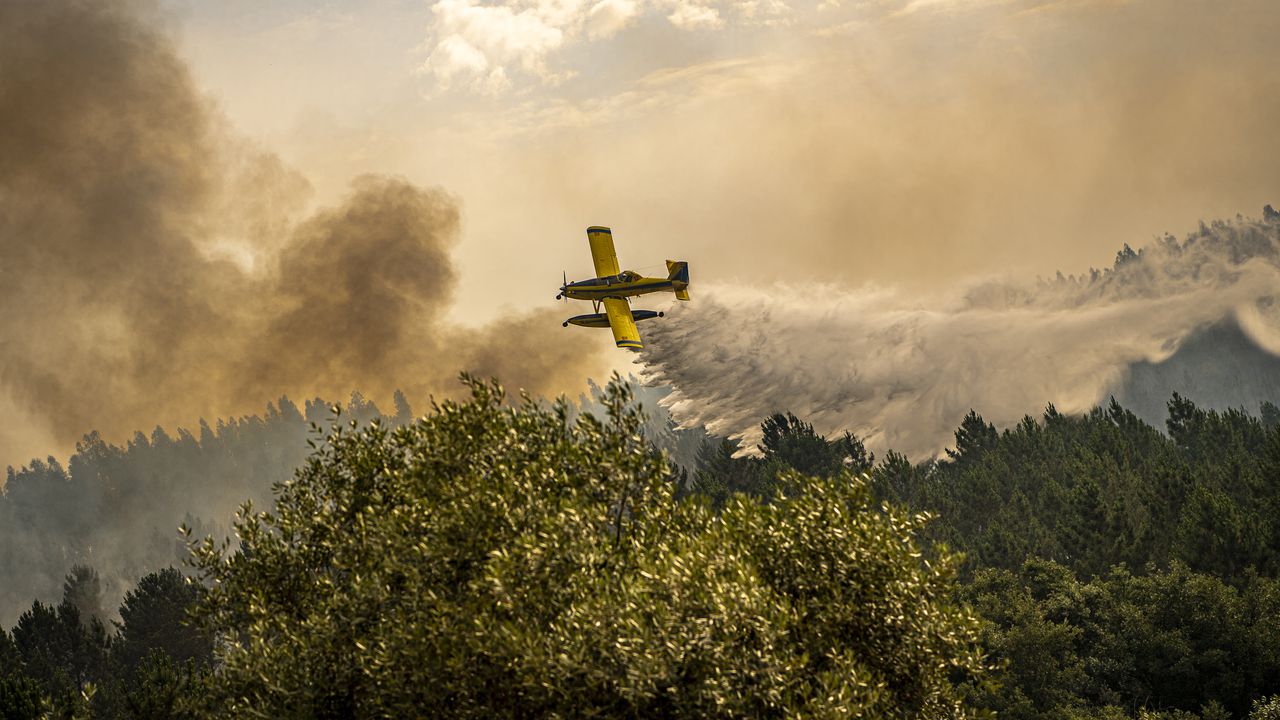 Пилотът, който загина при самолетна катастрофа в Хърватия в четвъртък, е имал и българско гражданство