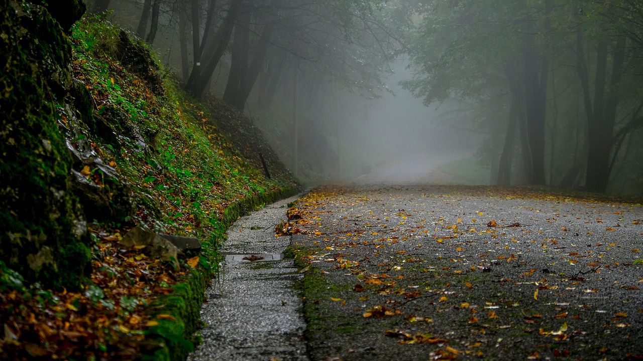 Прогноза за времето