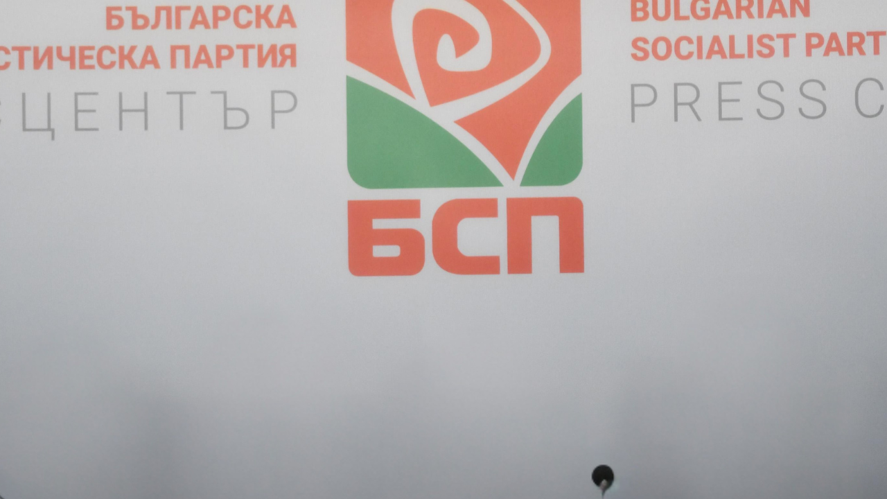 Позиция на НС на БСП за присъединяването към единната европейска валута - евро