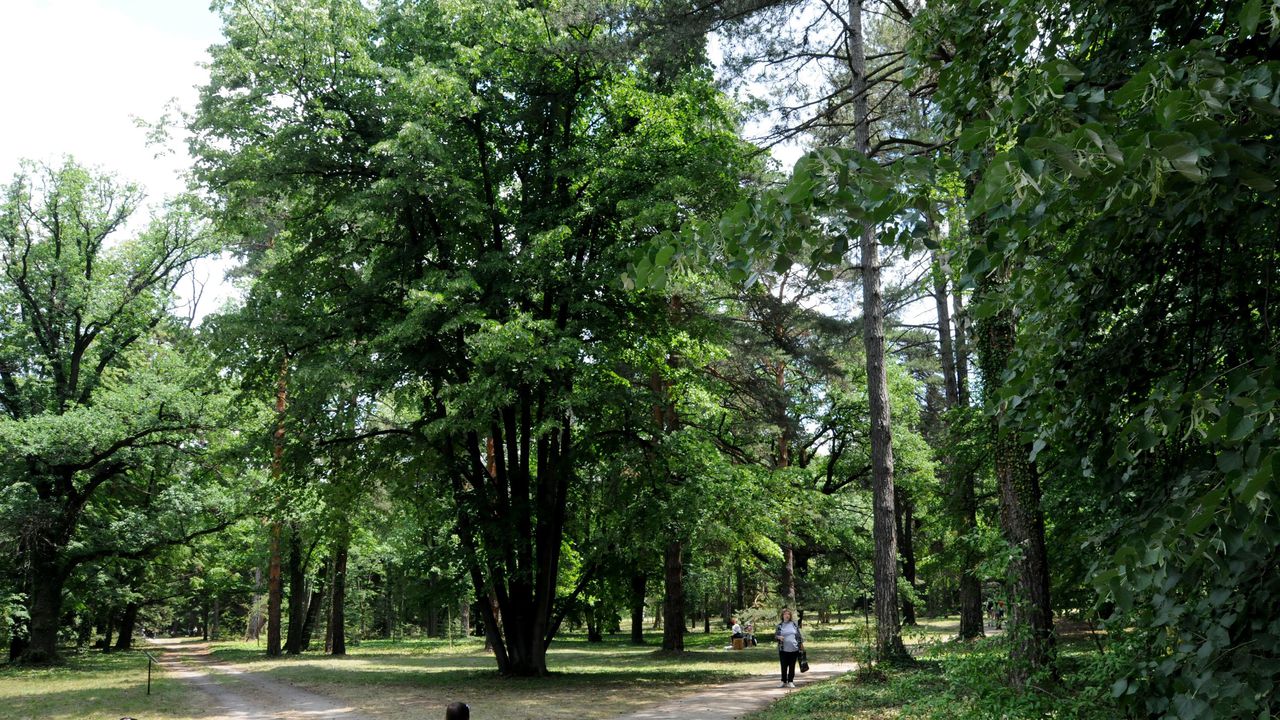 Областният управител на София - град Стефан Арсов очаква днес