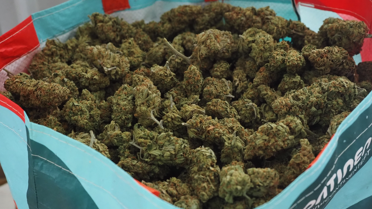 Спецакция в Русе срещу дрогата: Трима задържани и иззети 4 килограма наркотици