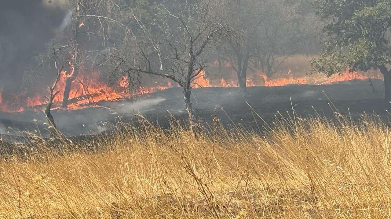 Пожар пламна край Аквапарка в Несебър