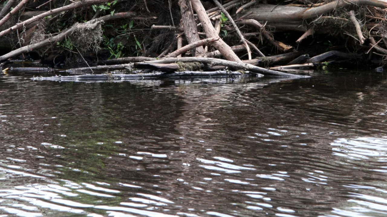 Водата от язовир "Йовковци" още не е годна за пиене