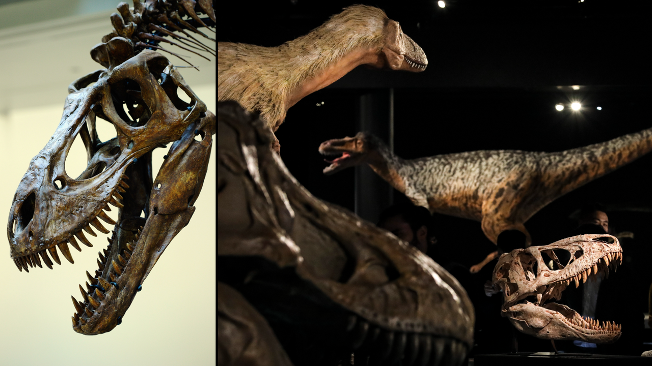 Свещените камъни на Шива в Индия се оказаха яйца на динозаври