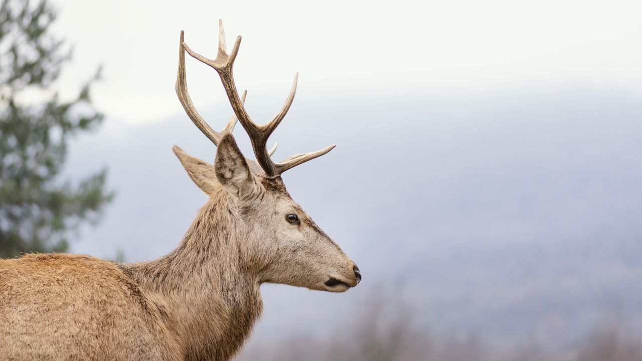 Елен предизвика катастрофа между тополовградските села Княжево и Срем, съобщиха