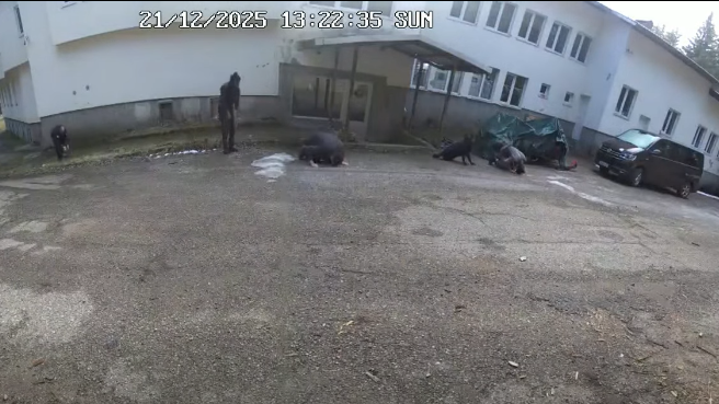 Органите на реда разполагат със записи от шест охранителни камери,