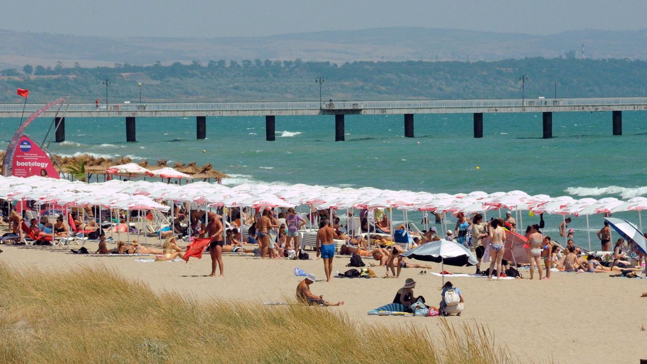 Ранен цъфтеж на водорасли по Черноморието обърка туристите