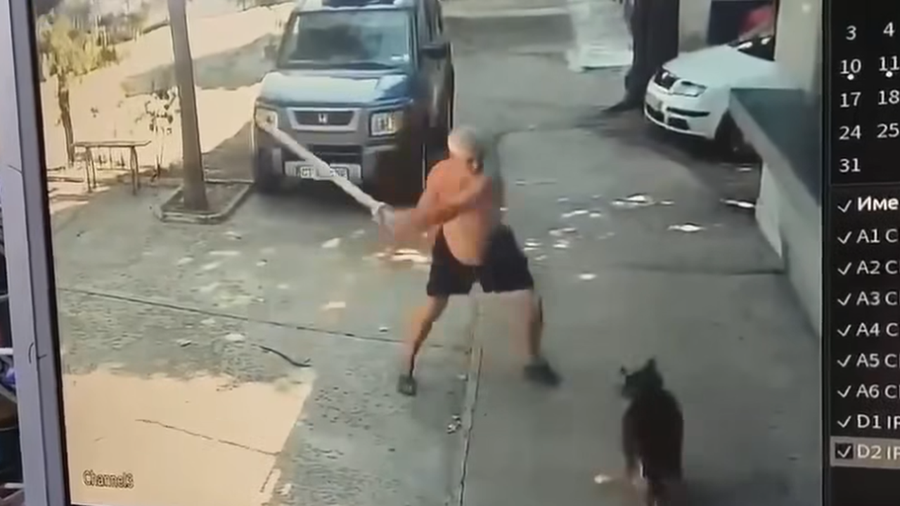 Изверг нападна сляпо куче в Казанлък