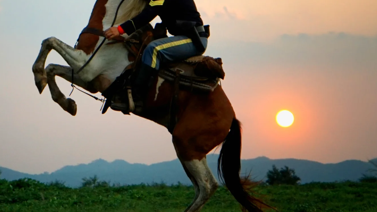 71-годишен мъж се бори за живота си падане и влачене от