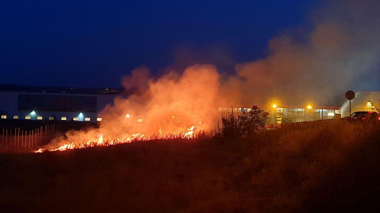 Пожар в София. Горят сухи треви и храсти, съобщи Нова